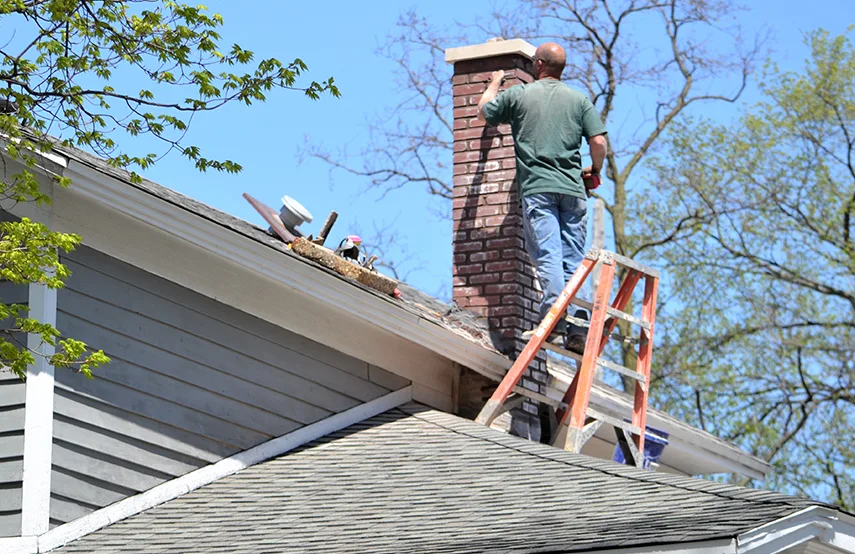 Chimney & Fireplace Inspections Services in Bergenfield, NJ